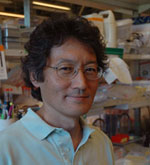 Professor James Kadonaga