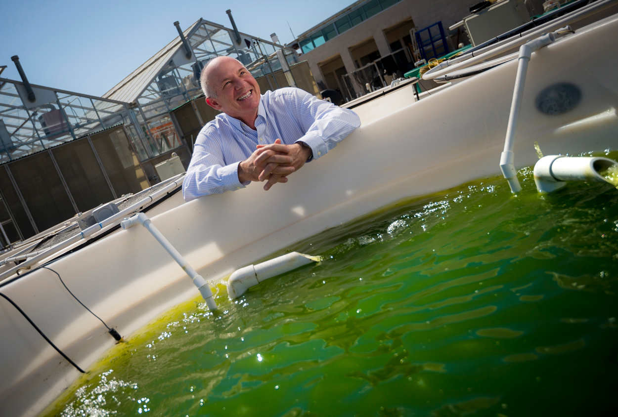 Mayfield hovers over an algae tub at the algae field.